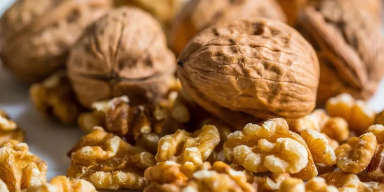 किन भनिन्छ ओखरलाई ब्रेन फ्रुट ?