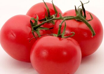 खानपान सबैभन्दा राम्रो फल : गोलभेँडा