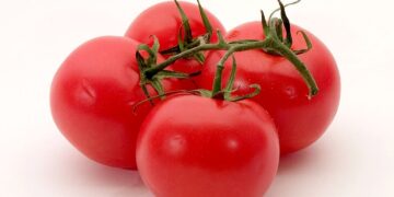 खानपान सबैभन्दा राम्रो फल : गोलभेँडा